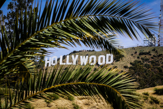 Hollywood’s Newest Accessory: The Transgender Child